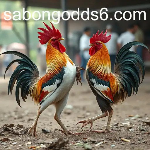 The Evolution of Sabong Odds in Online Gaming